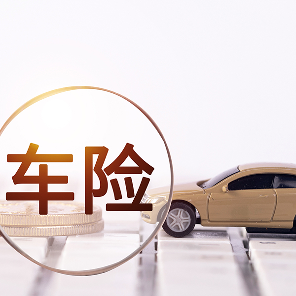 車(chē)險(xiǎn)